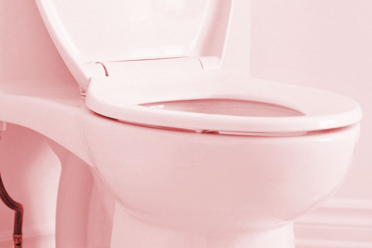 Desentupimento de vaso sanitário pode ser um transtorno facilmente resolvido